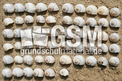 Schneckenhäuser-56.jpg